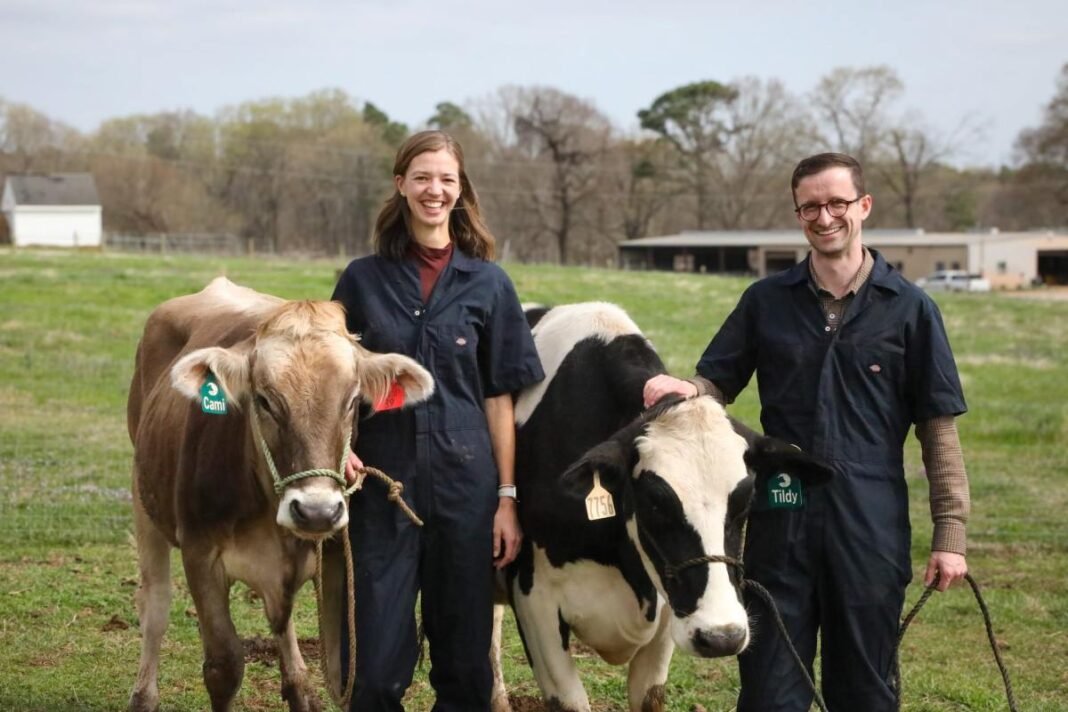 How one biotech startup is betting on cows and winning over investors