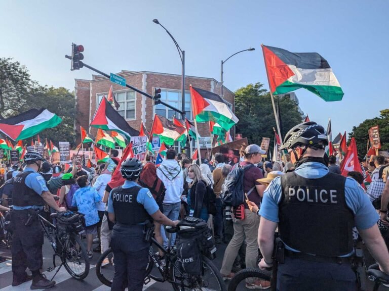 Unveiling Project Esther: The Bold and Controversial Strategy Challenging the Pro-Palestine Movement in the US