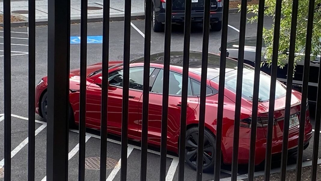 Trump Considers Cutting Ties with Tesla as Feud with Elon Musk Intensifies