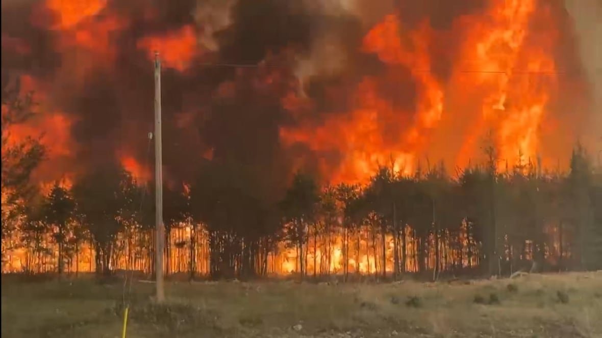 Wildfire flames near highway surrounded by forest