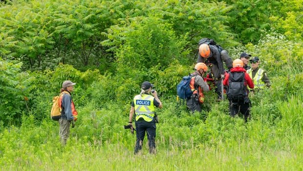 New charge laid against Quebec mother accused of abandoning toddler last month