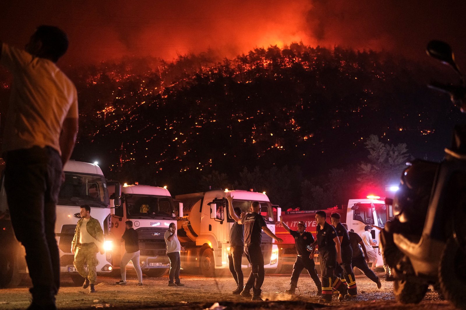 Aerial view showing burnt forest areas near Bursa after wildfires