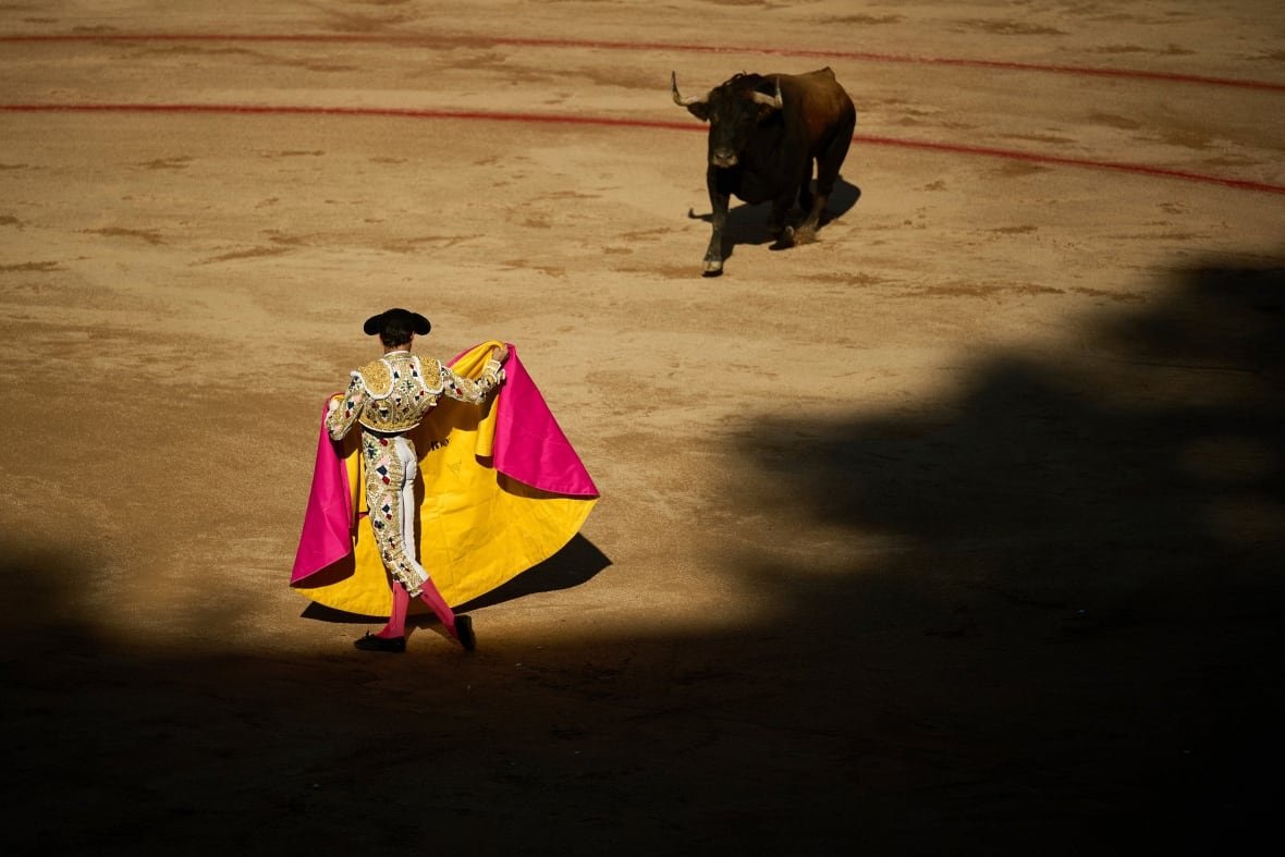 Bullfighter holding colorful cape with bull nearby under sunlight