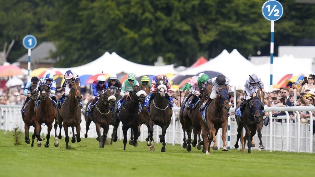 Two Tribes completes a big-race double with emphatic Stewards’ Cup success