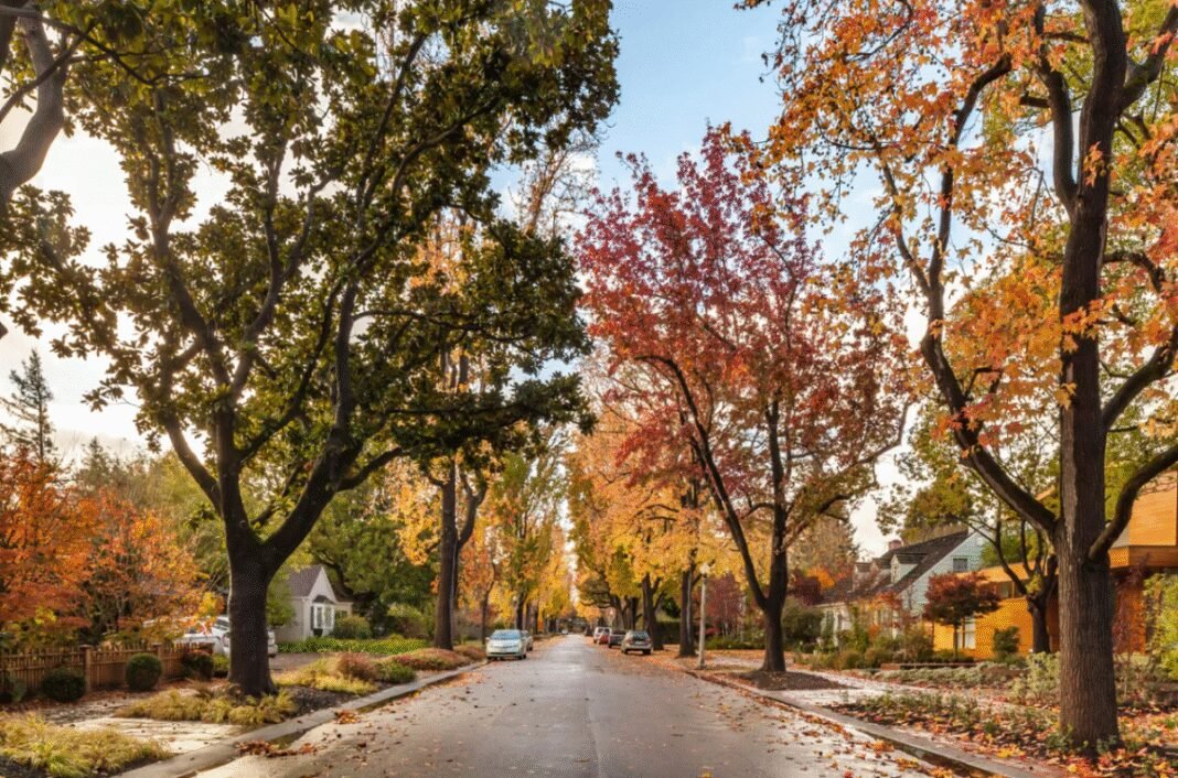 Unveiling the Hidden Costs of Life on Mark Zuckerberg’s $110M Mega-Compound