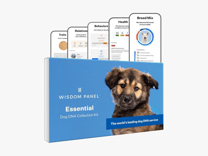 Essential Dog DNA kit