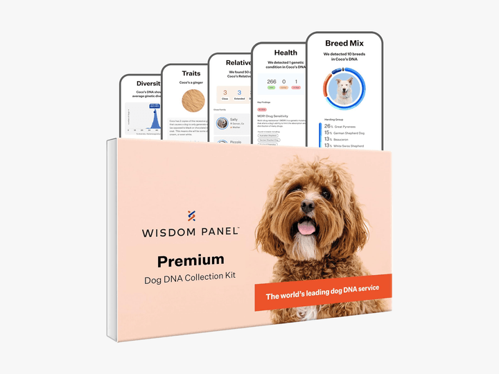 Premium Dog DNA Kit