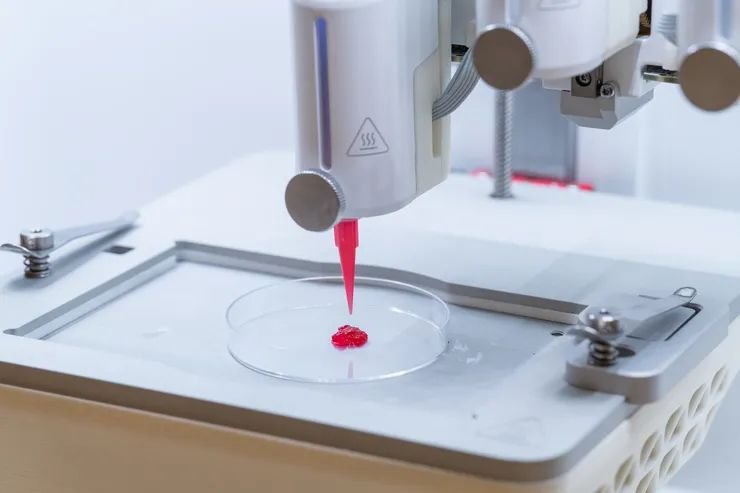 Researchers Create 3D-Printed Artificial Skin That Allows Blood Circulation