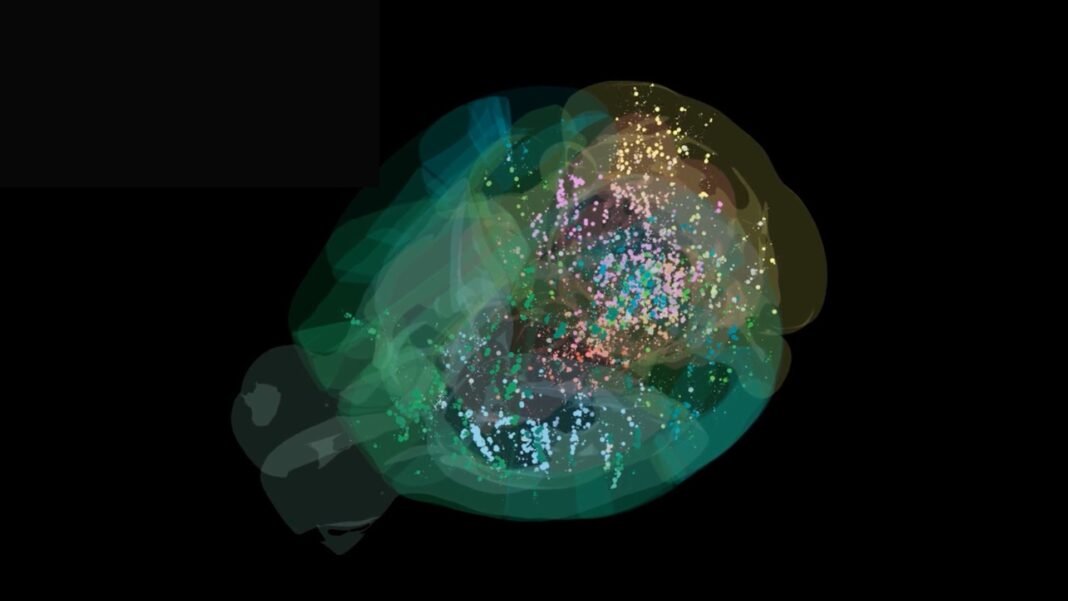 Scientists Capture Groundbreaking Moment: Decision-Making Unveiled in the Brain for the First Time Ever