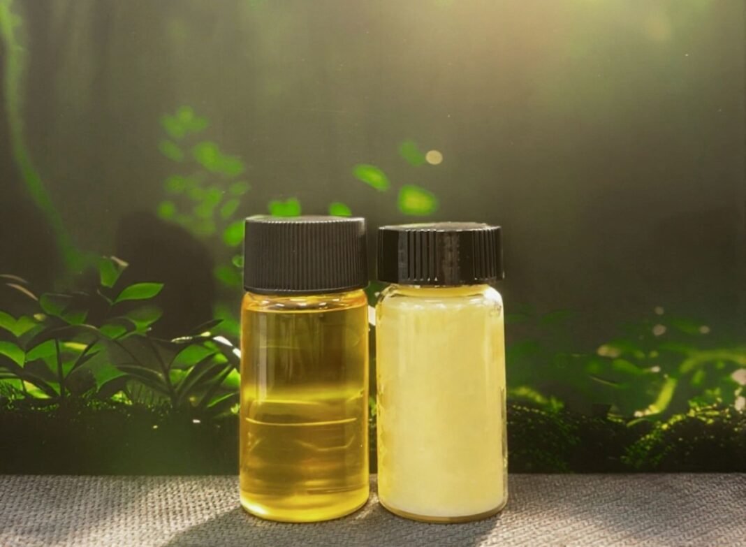 Terra Oleo’s Oil-Producing Microbes: The Game-Changing Sustainable Alternative to Devastating Palm Oil Plantations