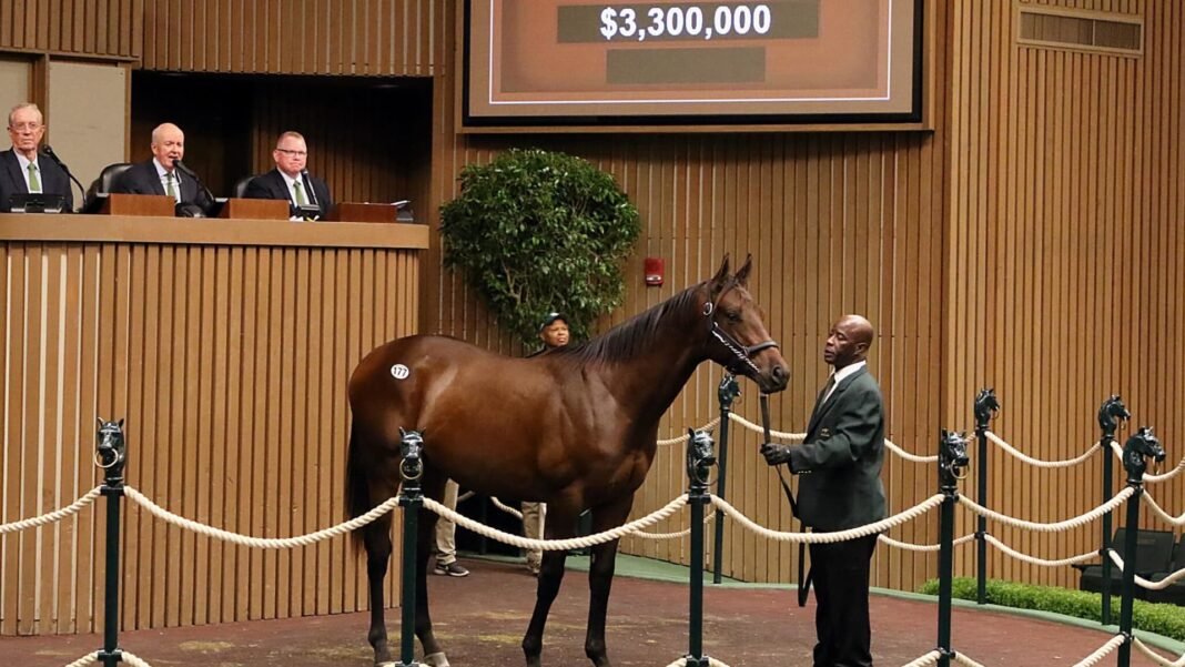 How Trump’s Tax Breaks Are Turbocharging the Racehorse Market