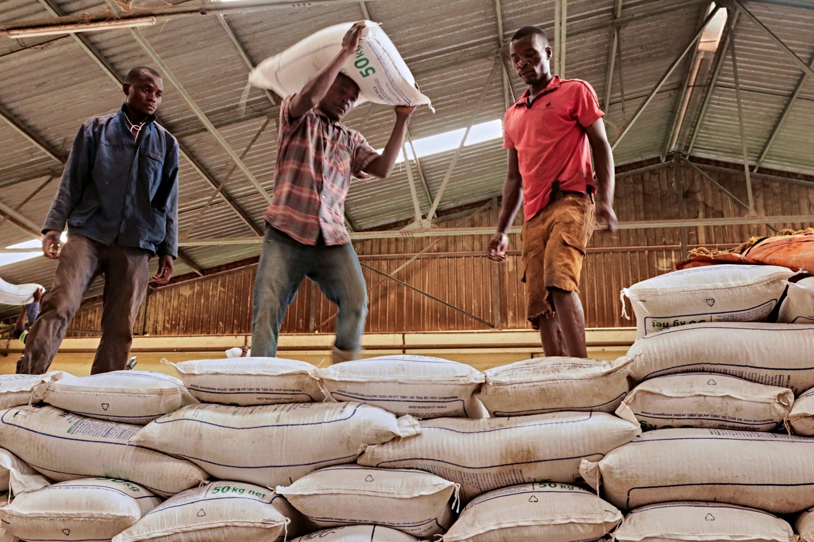 Workers moving fertilizer bags donated through international aid