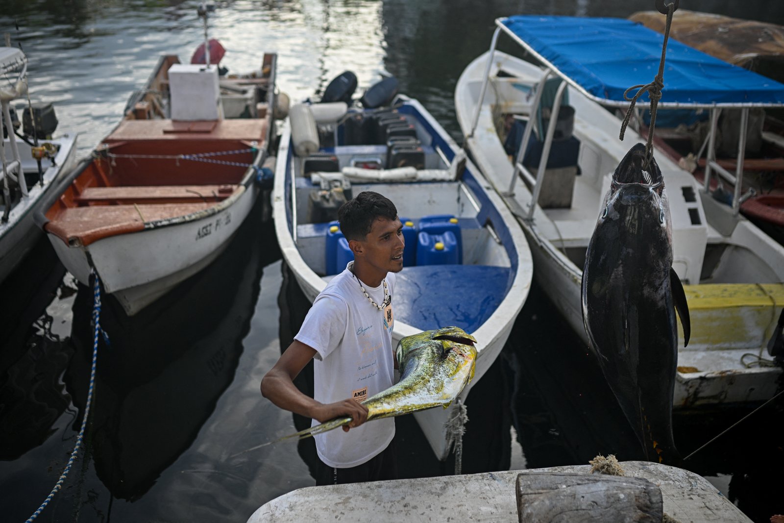 fisherman holding catch at Caraballeda harbour