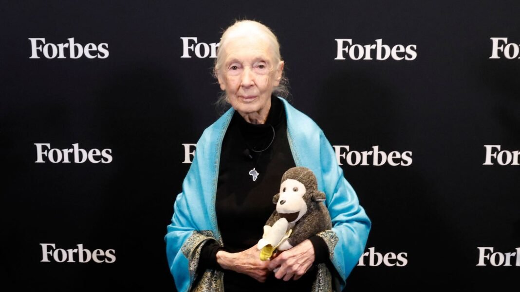 Jane Goodall’s Last Words: Fearless Critiques of Musk and Trump Before Her Passing