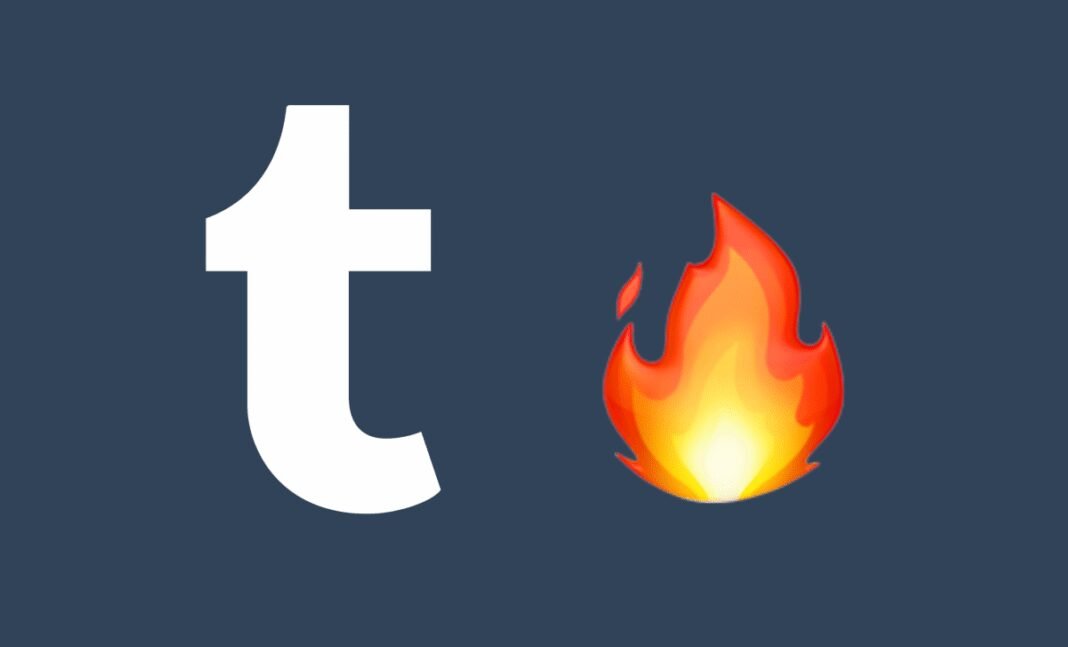 Automattic CEO Reveals the Surprising Story Behind Tumblr’s Biggest Setback