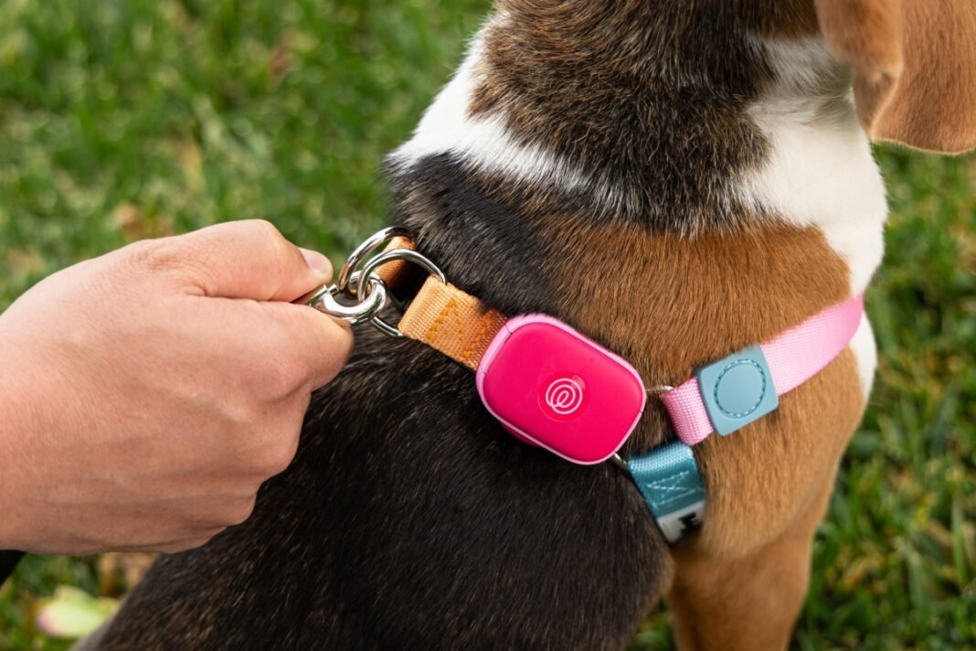 Life360 Revolutionizes Pet Safety with Their Breakthrough GPS Tracker!