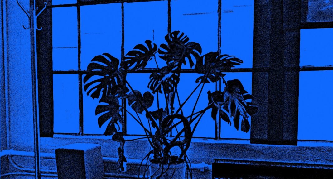 How Embracing AI’s Disruption Could Unlock Your Next Big Breakthrough