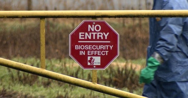 Avian flu strikes farms in B.C.’s Fraser Valley, with 7 outbreaks this month