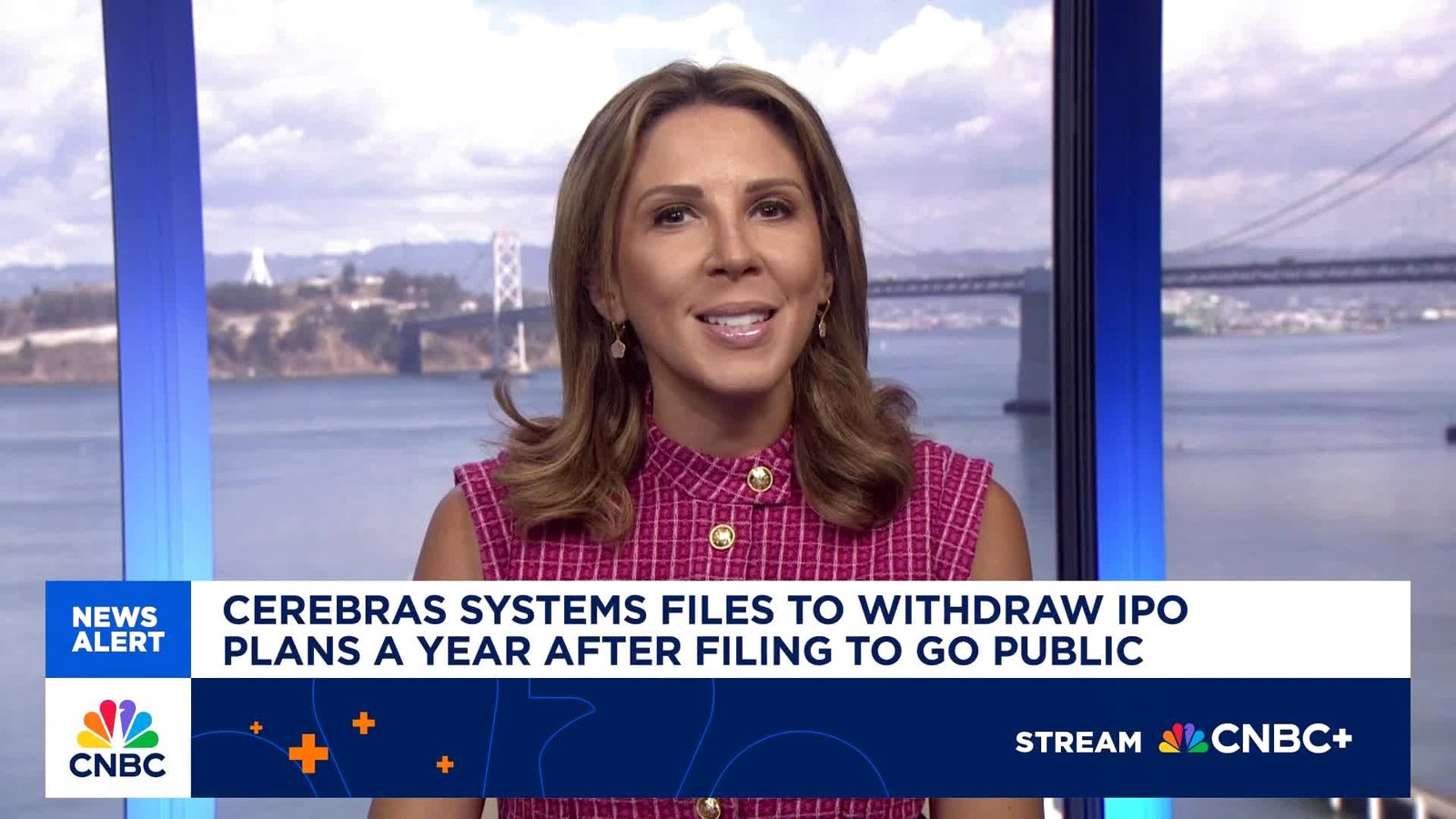 Cerebras Systems Artificial Intelligence Chip Technology