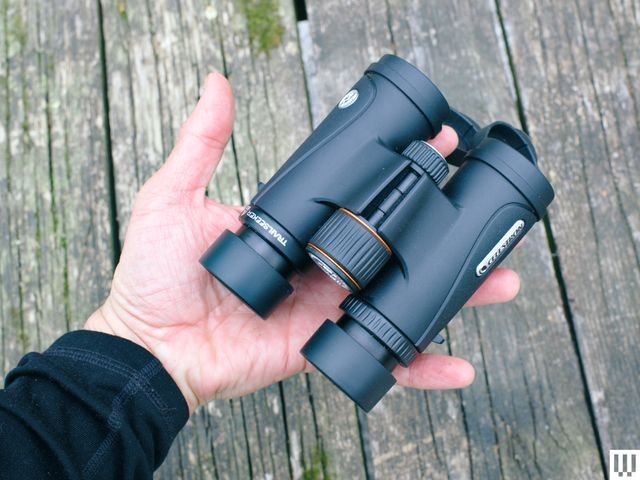 Hand holding folded black Celestron TrailSeeker ED 8x32 Binoculars against rustic wooden background
