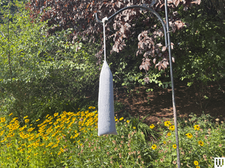 Nyjer Seed Sock Feeder