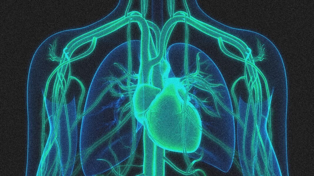 Breakthrough Gene Editing Therapy Cuts Cholesterol Levels in Half-A Game Changer for Heart Health!