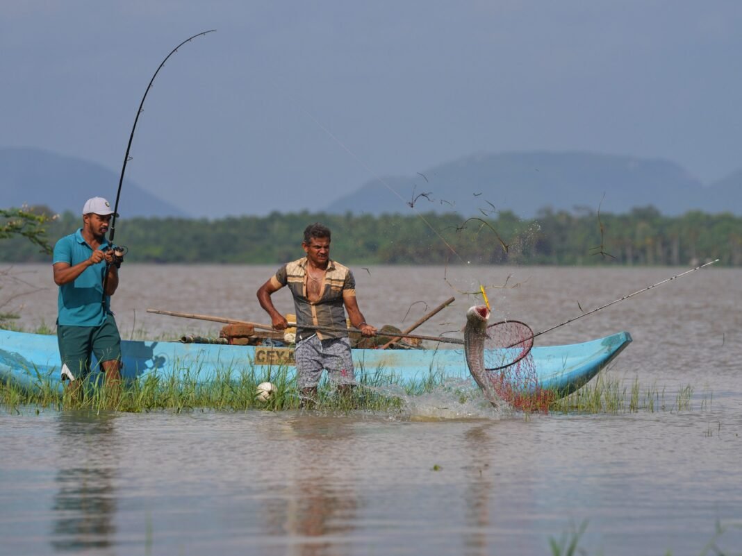 Sri Lankan Villagers Unite in Bold Battle Against Invasive Snakehead Fish Menace