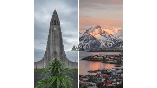 Cannabis At The Ends Of The Earth: Notes On The Northern & Southern Frontiers Of Cannabis