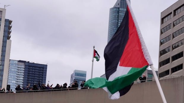 Toronto City Hall raises Palestinian flag, joining other cities across Canada
