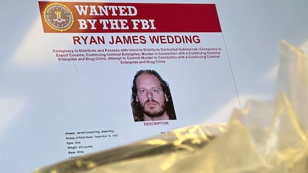 Former accomplice of Ryan Wedding turned against him this year, court documents reveal