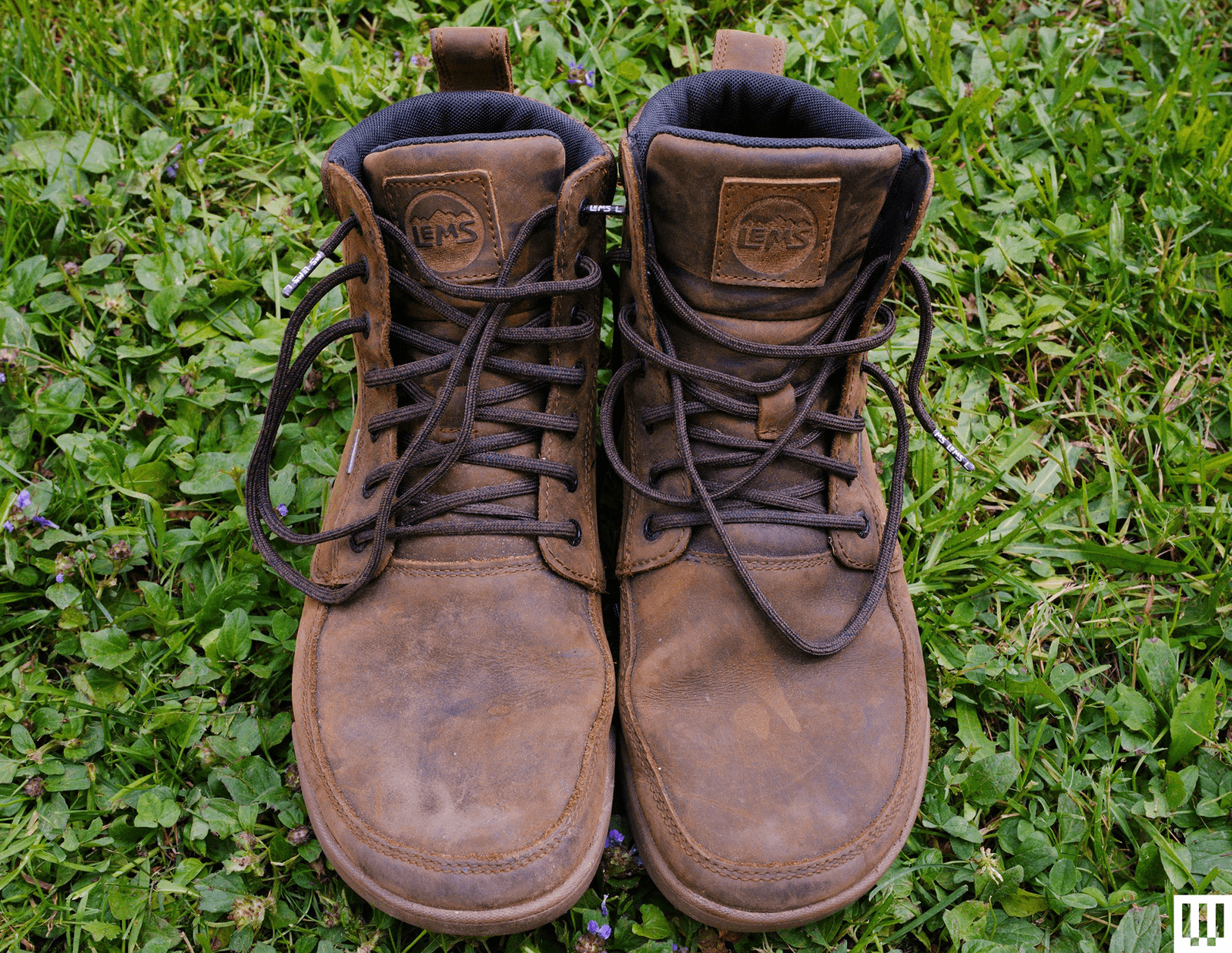 Brown lace-up boots resting on grass