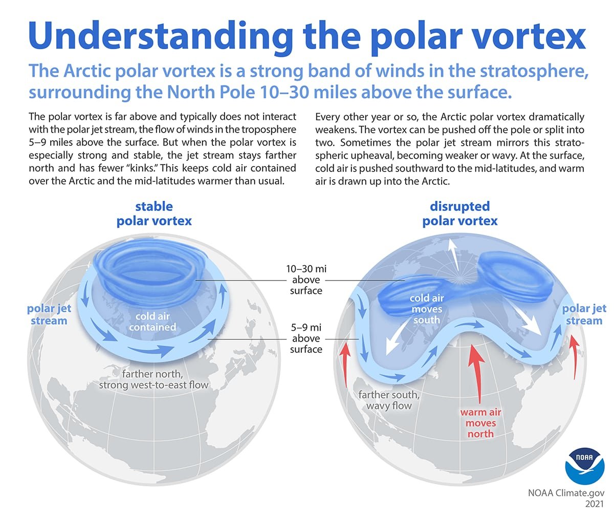 Diagram illustrating stable versus disrupted polar vortex circulation