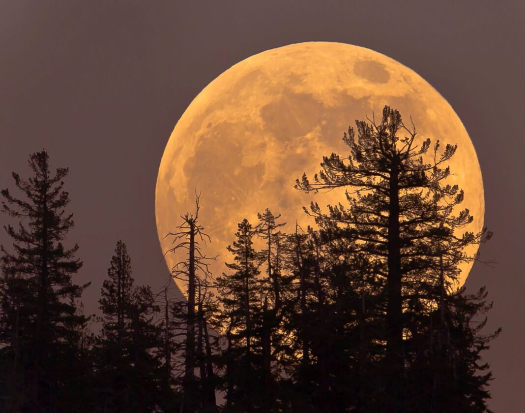Thursday’s Cold Moon Is the Last Supermoon of the Year. Here’s How and When to View It