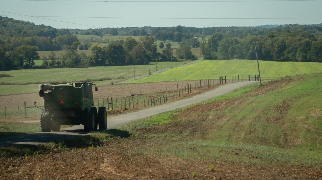 Trump Administration to Launch Game-Changing $12 Billion Bailout to Save Farmers This Monday