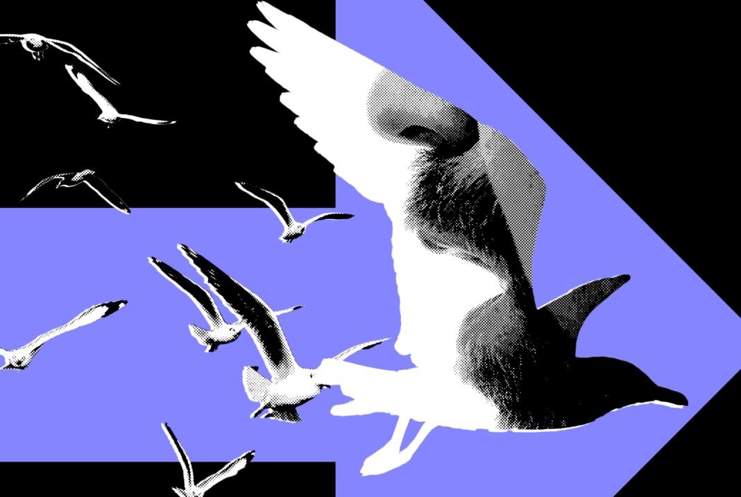 Here’s a more engaging version of the title:
**”The Silent Powerhouses: Why Leading Political Voices Are Choosing to Stay Quiet”**