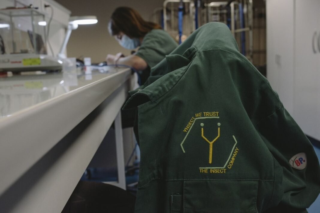 From Sky-High Dreams to Crushing Reality: The Dramatic Rise and Fall of Ÿnsect, France’s $600M Insect Farming Sensation