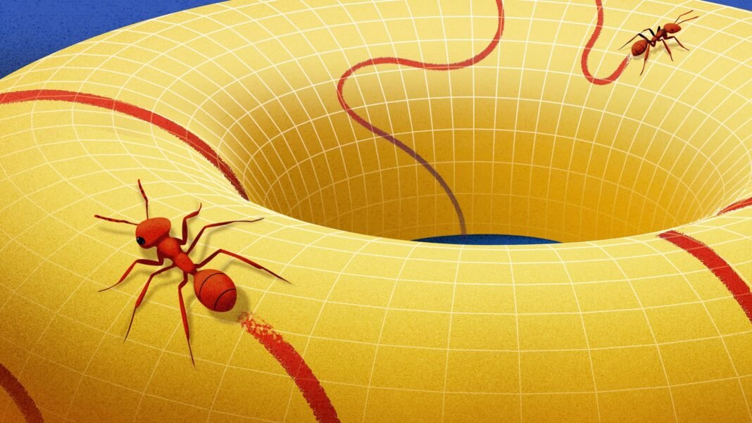 Unveiling the Manifold: The Groundbreaking Idea That Revolutionized Our Understanding of Space