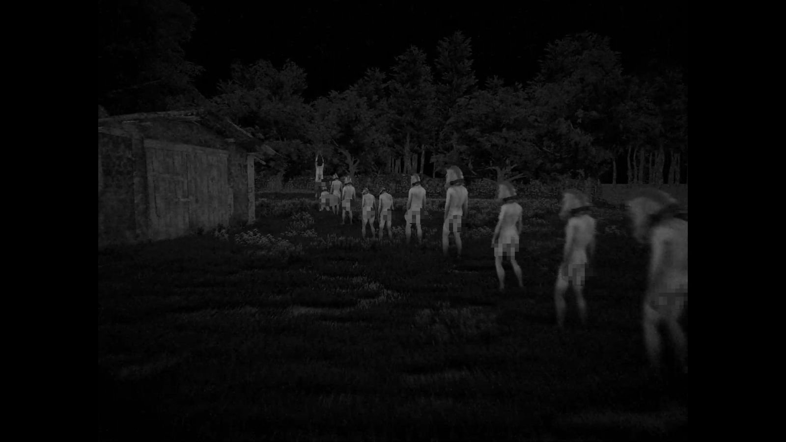 Eerie farm scene from Horses