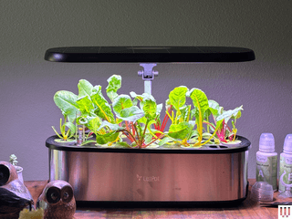 LetPot Hydroponic Growing System