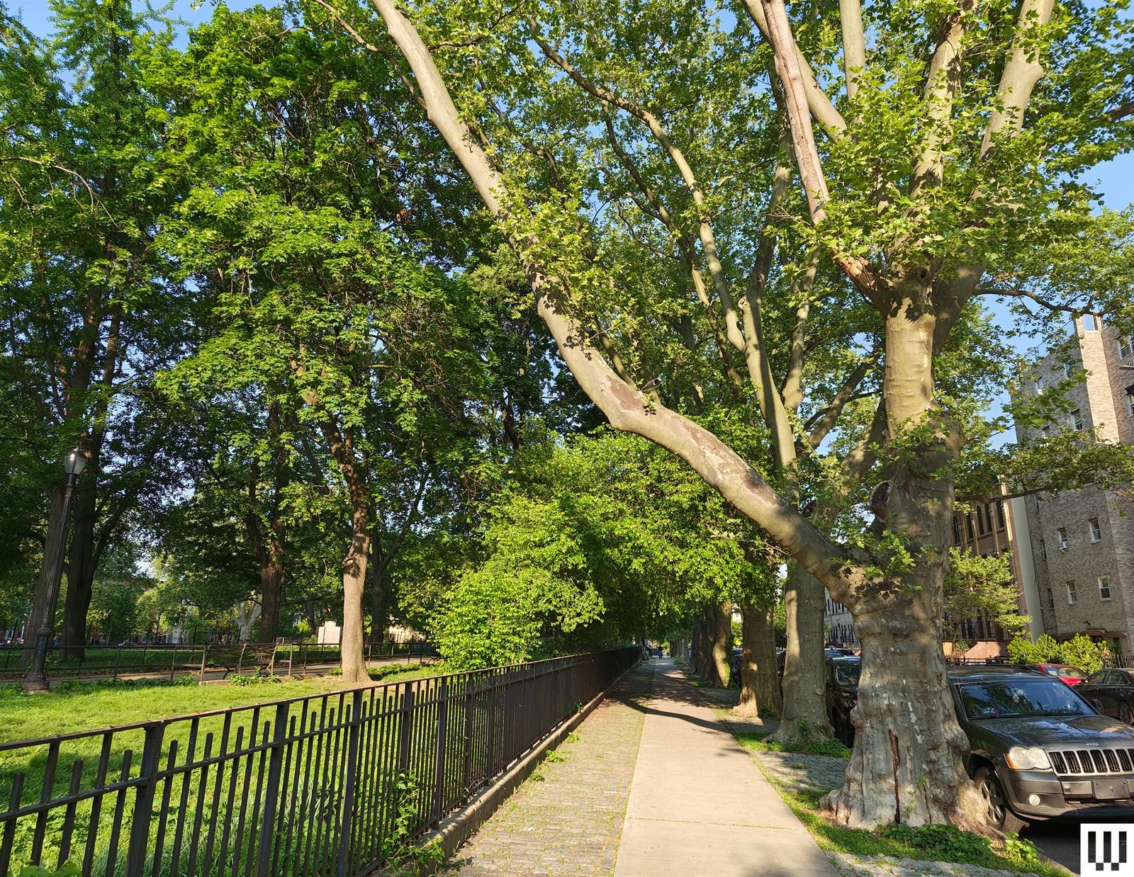 Photo taken by Motorola Razr Ultra main camera