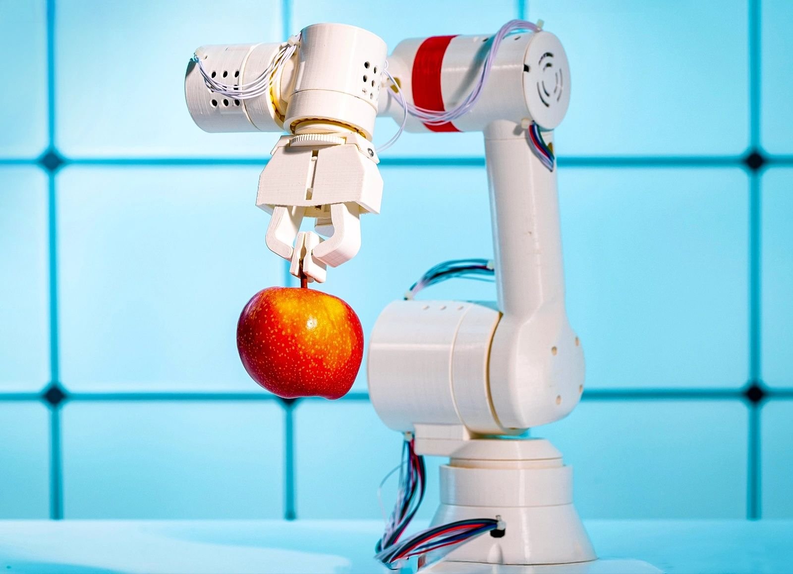 Robotic arm interacting with various objects