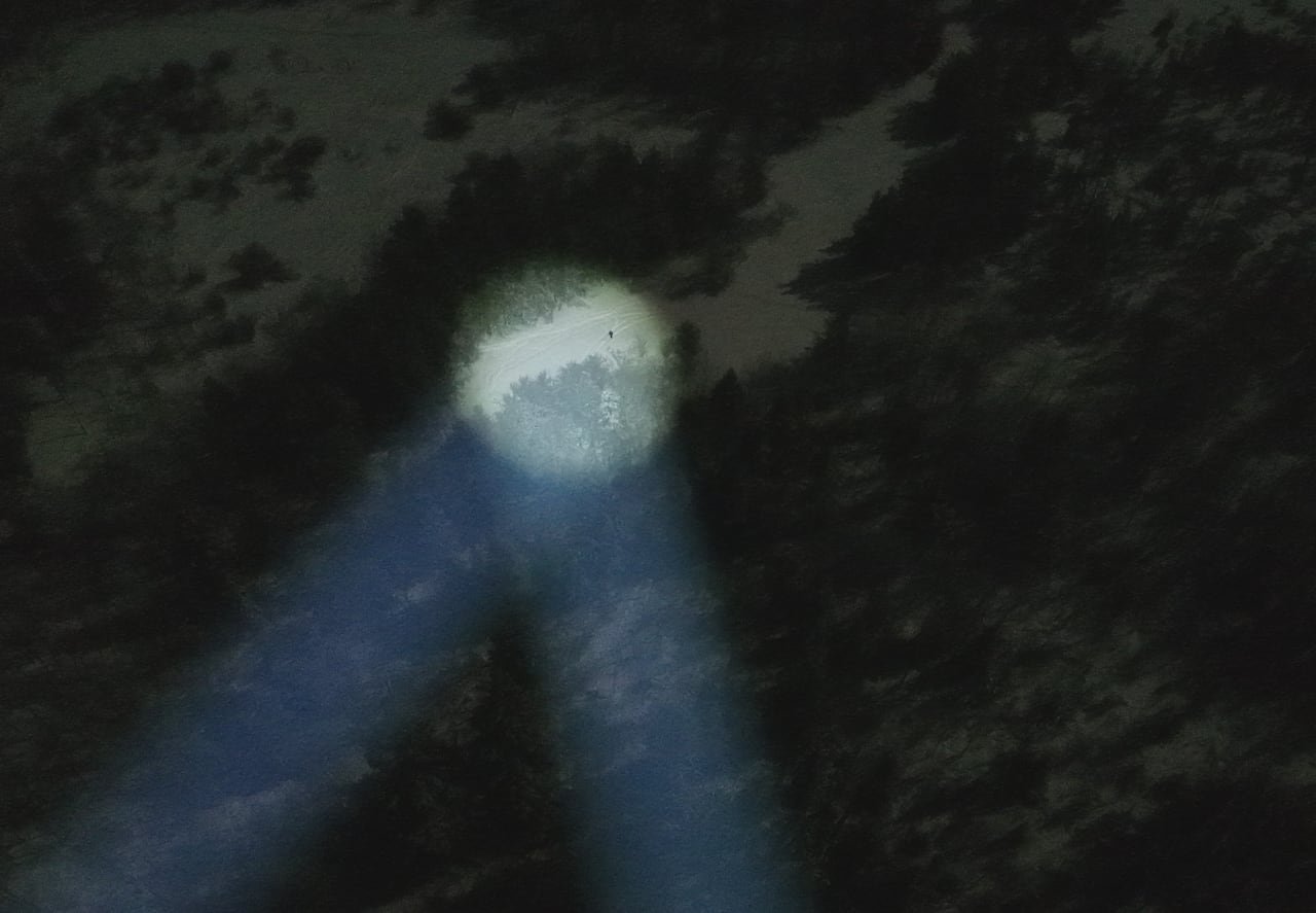 Drone spotlight lighting up snowy forest at night
