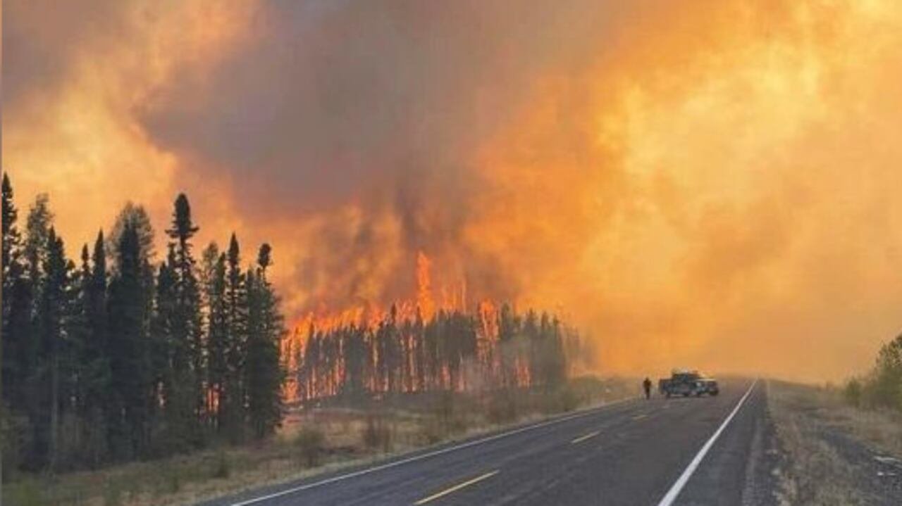 Wildfire flames engulfing forested area with smoke rising