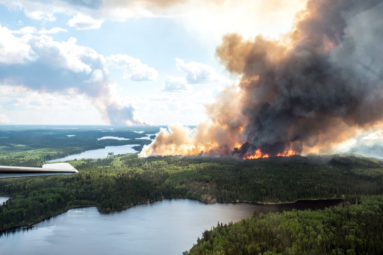 Smoke billowing above forested area during active wildfire season