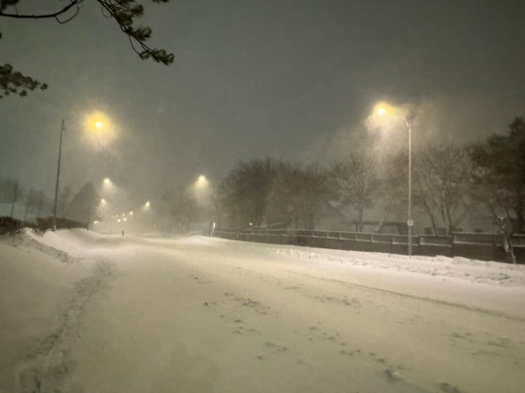 Schools closed, buses pulled off roads as storm hammers Newfoundland