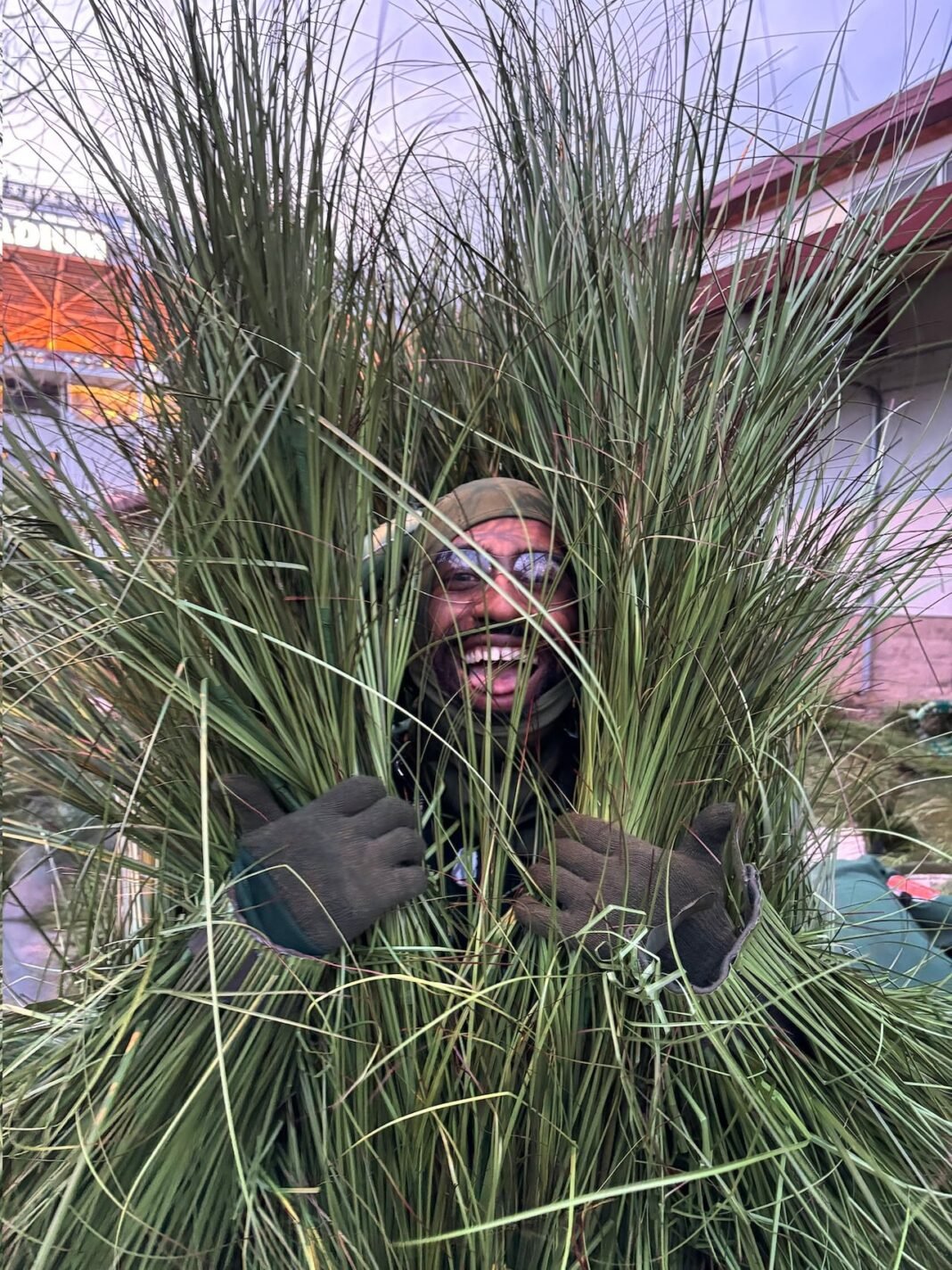 What it was like being a bushel of grass in Bad Bunny’s Super Bowl ‘field of dreams’