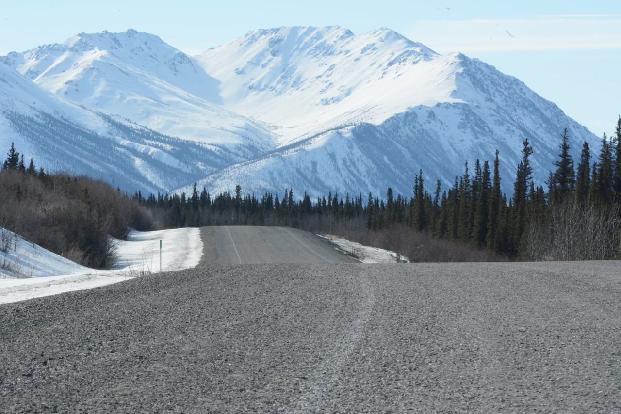 Alaska highway bordered by boreal forest under clear skies