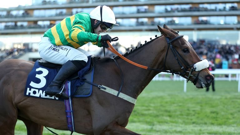 Iroko is the current favourite for the 2026 Grand National