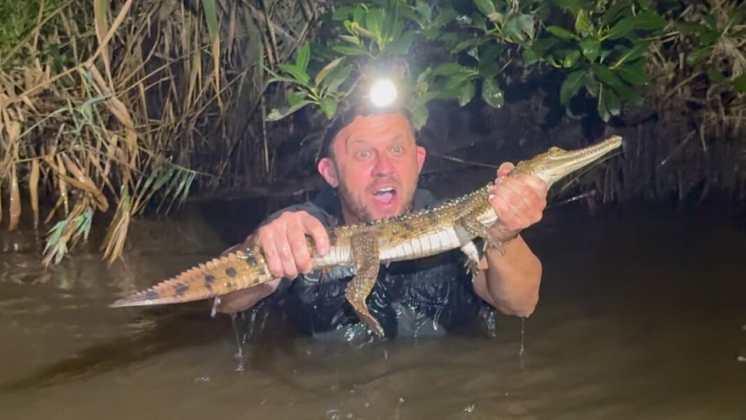 Watch the Unbelievable Moment an Aussie Hero Bravely Rescues a Crocodile!
