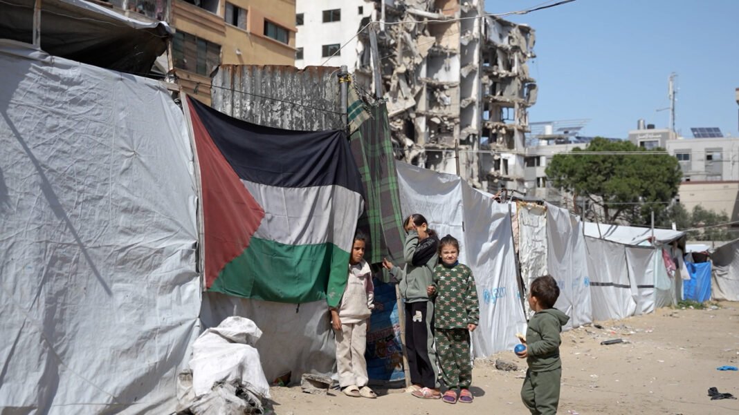 Voices from Gaza: The Human Toll of the Rafah Crossing Closure